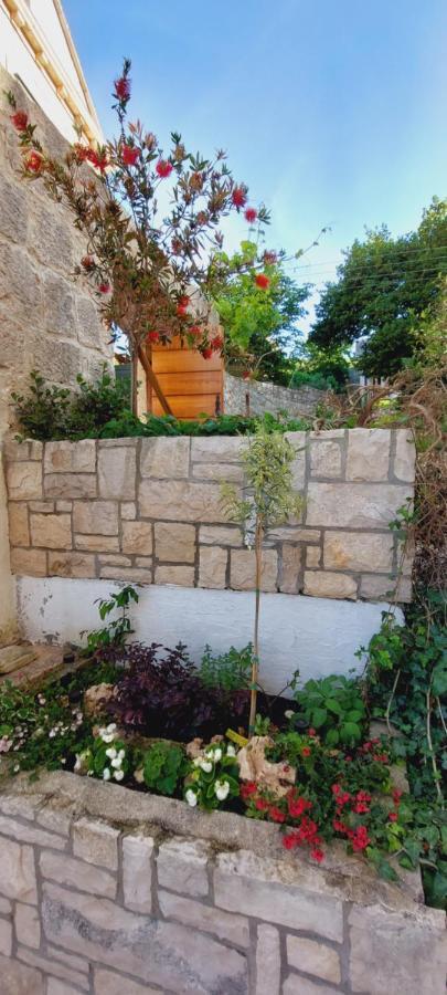 קורצולה Apartments Viva מראה חיצוני תמונה
